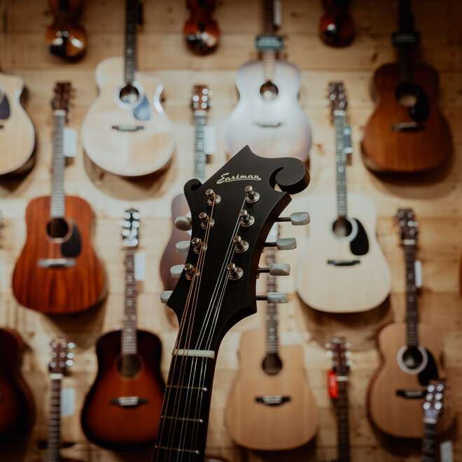 Eastman MD315 F-Style Mandolin, Solid Spruce/Maple, Classic Satin Finish, w/Gigbag