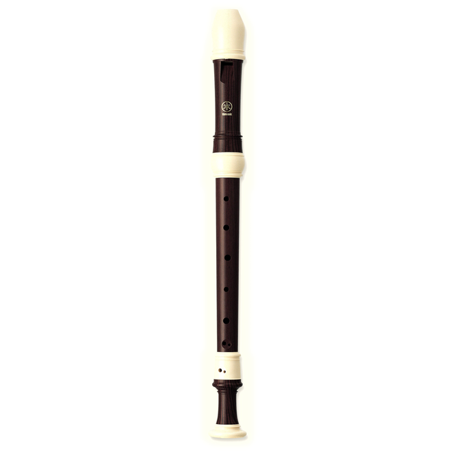 Orchestral Instruments | Janzen Brothers Music Company