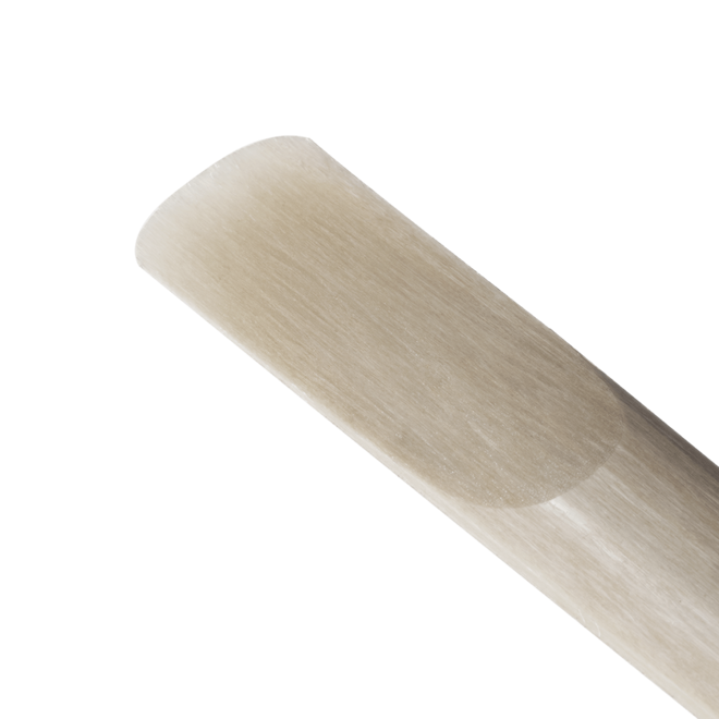 D'Addario VENN Synthetic Alto Saxophone Reed, 3.0