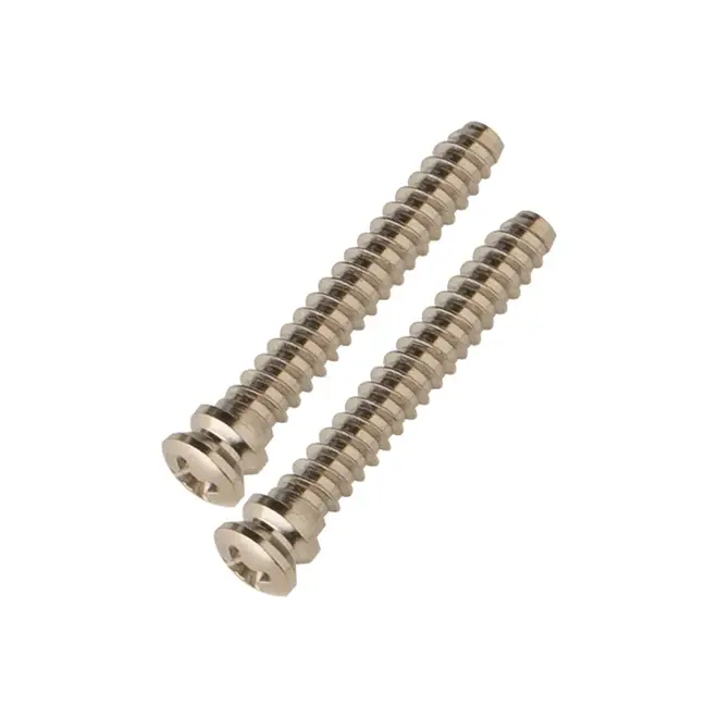 PRS Fulcrum Screws for Fiore & SE Silver Sky