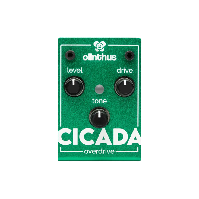 Olinthus Cicada Miniature Overdrive Pedal