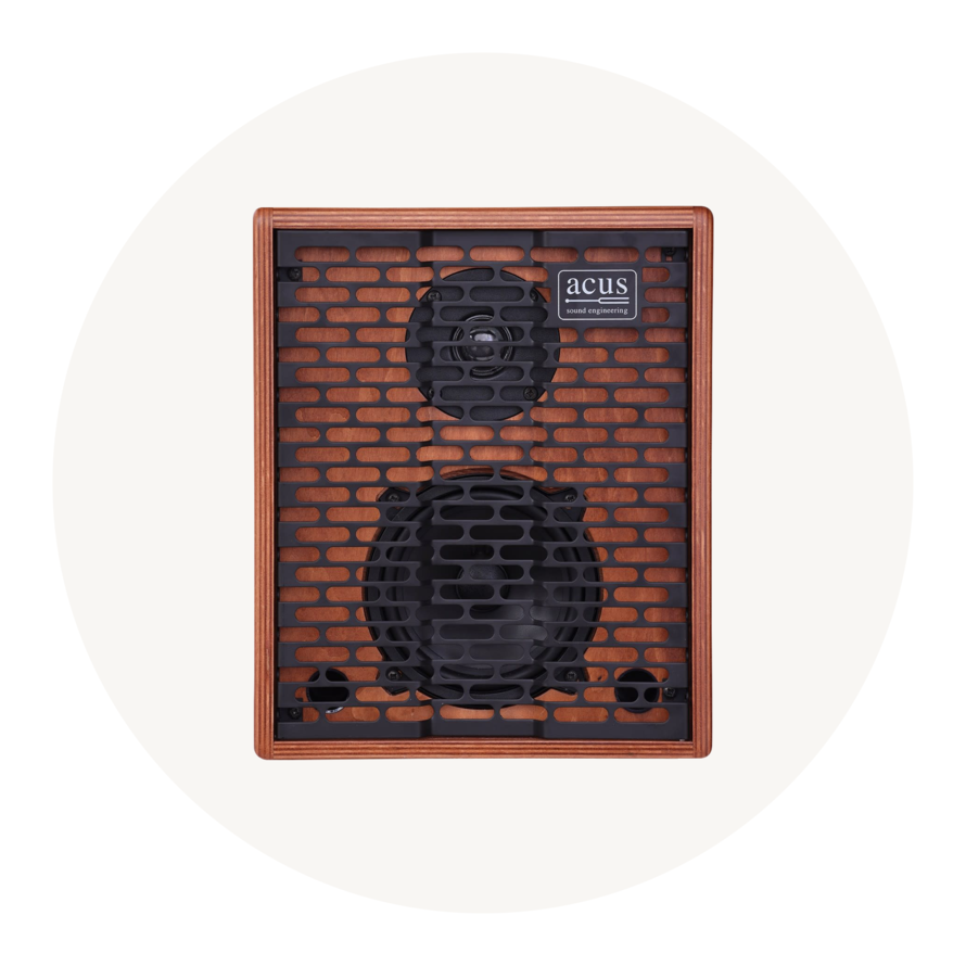 Acoustic Guitar Amps