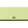 Telecaster Pickguard, 8 Hole, 3 Ply, Mint Green