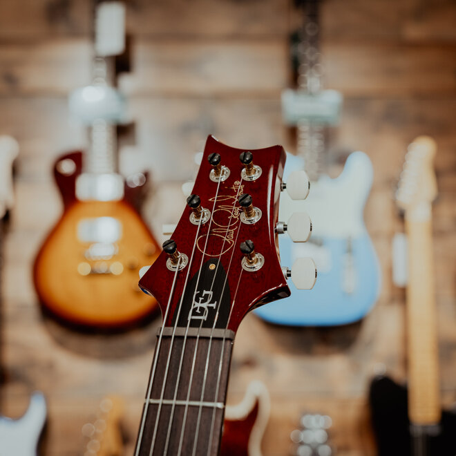 PRS DGT 10-Top Electric Guitar, Dark Cherry Sunburst, Bird Inlays, Hardshell Case