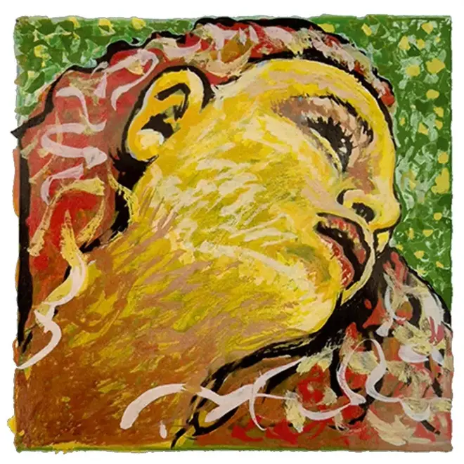 Pirastro Evah Pirazzi Neo Violin String Set