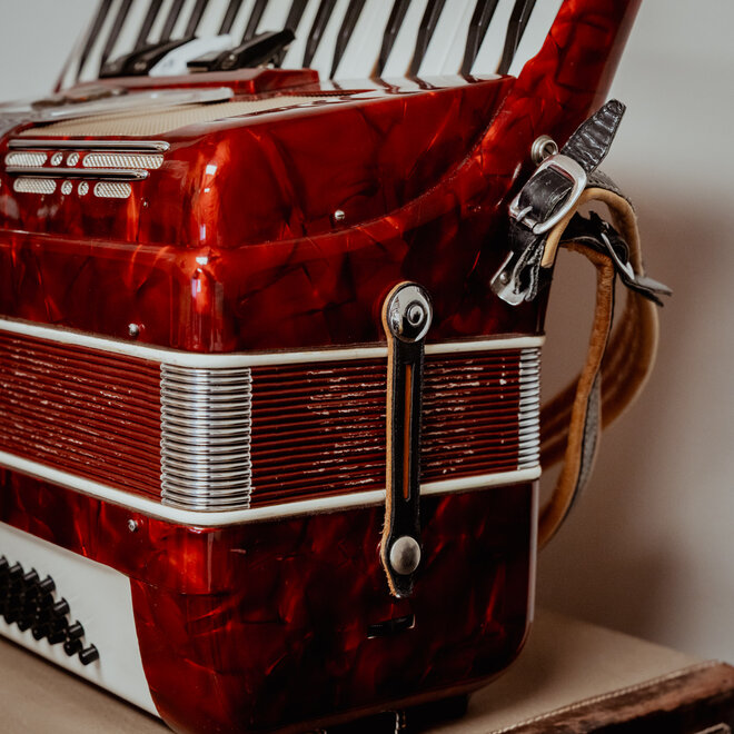 Parrot 48 Bass Accordion