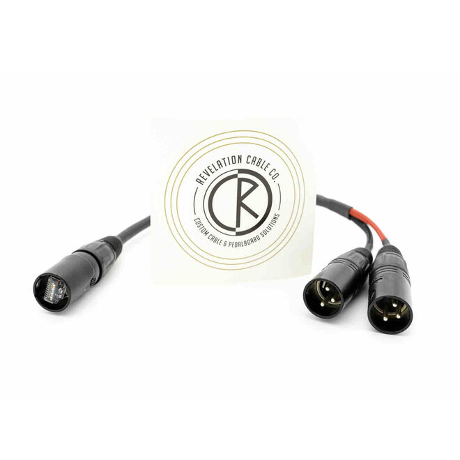 Pinstripe TXRX-S-TF Stereo Guitar Signal Management System, Signal Only