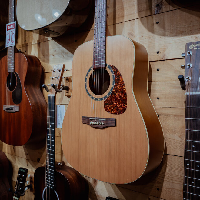 Norman Protege B18 Acoustic Guitar, Cedar Top w/Case