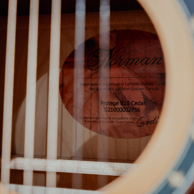 Norman Protege B18 Acoustic Guitar, Cedar Top w/Case