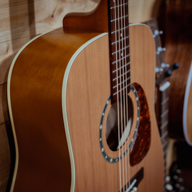 Norman Protege B18 Acoustic Guitar, Cedar Top w/Case