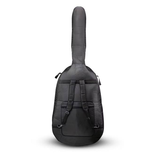 Samuel Eastman VB80 Student Bass Outfit, 3/4 (CB40, BB10, D’Addario Prelude Strings)