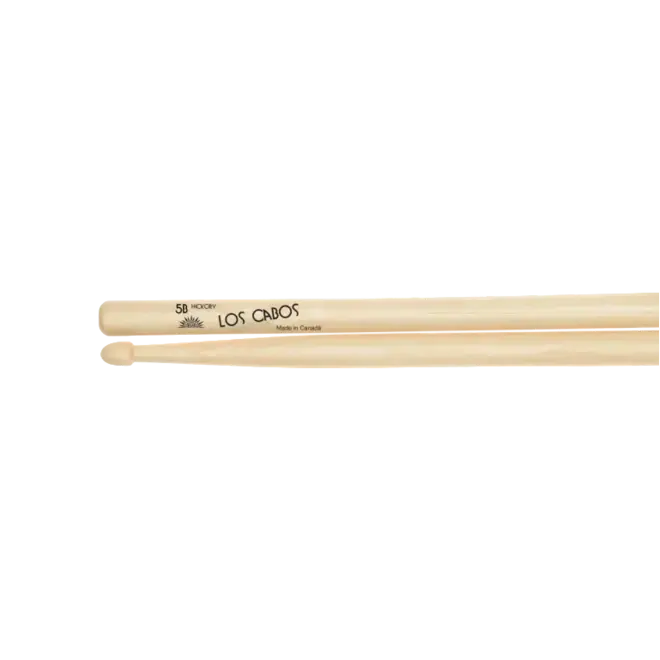 Los Cabos White Hickory Drumsticks, Acorn Tip, 5B