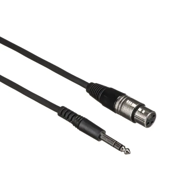 Apex Apex300 Dynamic Cardioid Microphone, w/XLR to 1/4” Cable