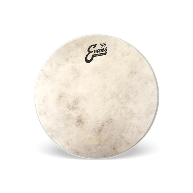 EVANS Calftone Batter Drumhead