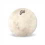 EVANS Calftone Batter Drumhead