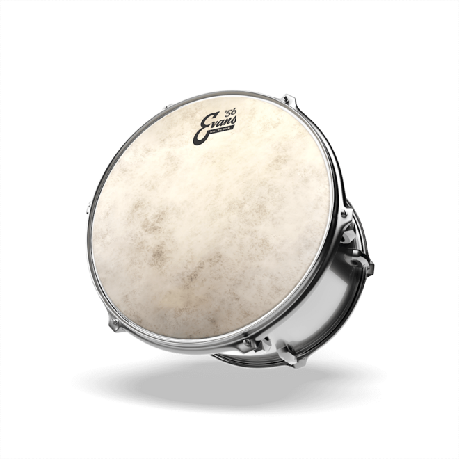EVANS Calftone Batter Drumhead