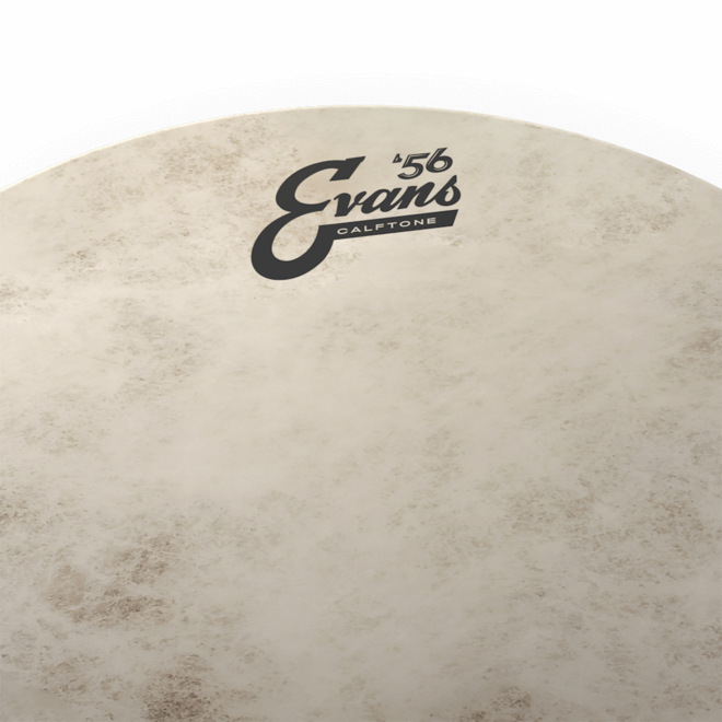 EVANS Calftone Batter Drumhead