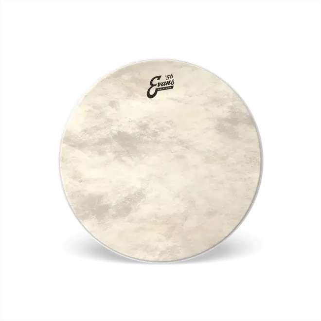 EVANS Calftone Bass Drum Head