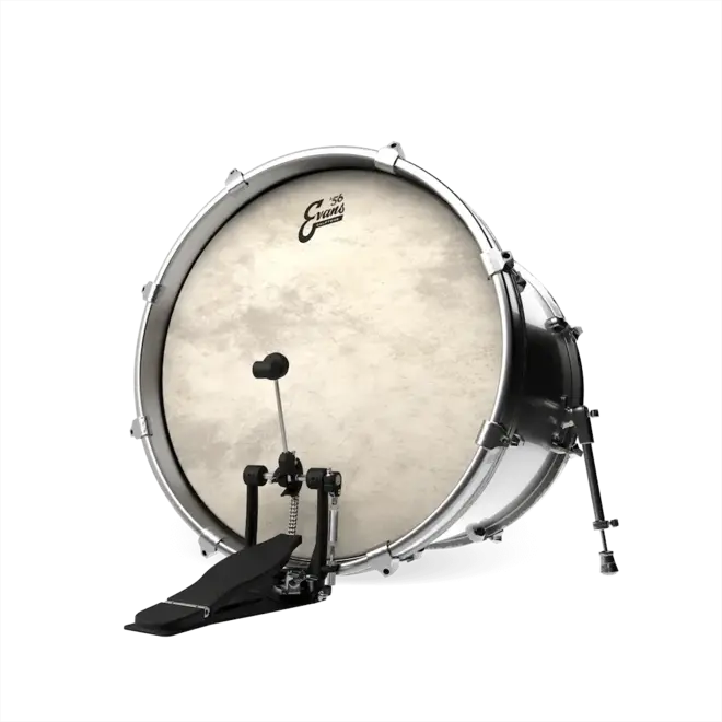 EVANS Calftone Bass Drum Head