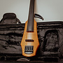 NS Design CR 5-String Electric Violin w/Case