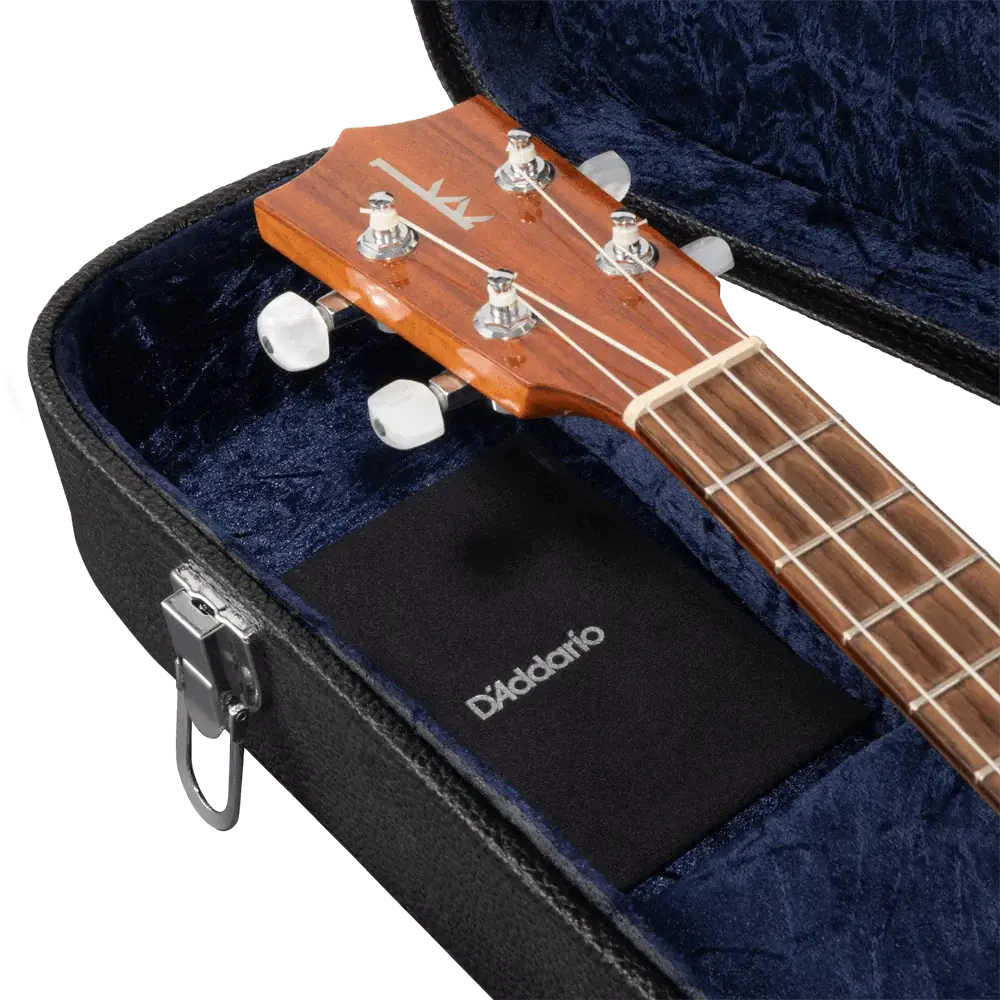 D'Addario Humidipak Maintain Automatic Humidity Control System for Small Instruments