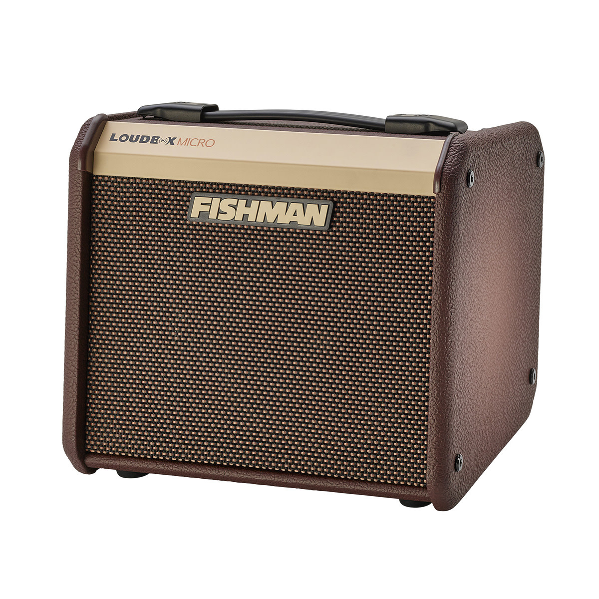 Fishman Loudbox Micro Acoustic Combo Amplifier