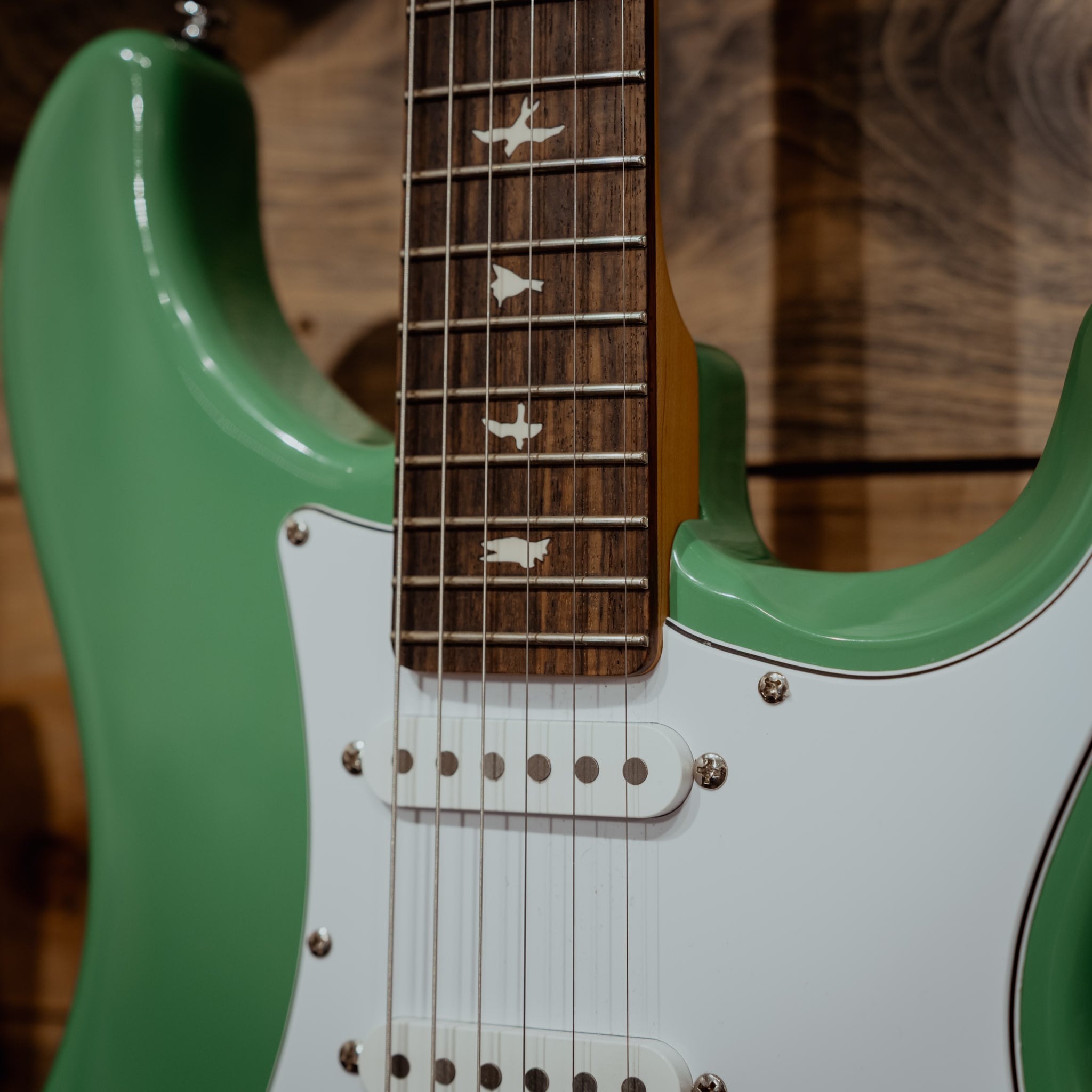 PRS SE Silver Sky, Evergreen w/Gigbag