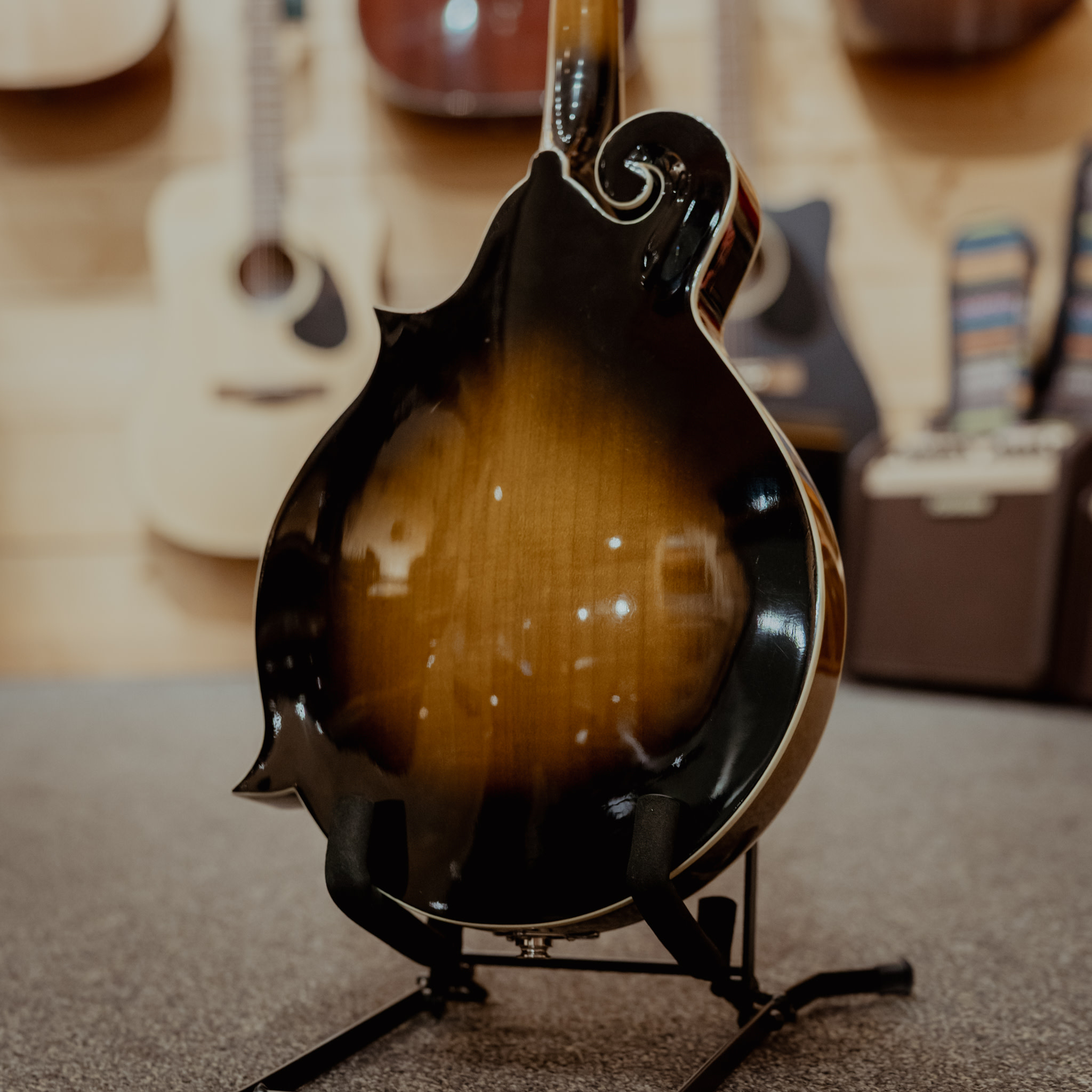 Michael Kelly Legacy Solid F Style Electric Mandolin, Sunburst w/Case