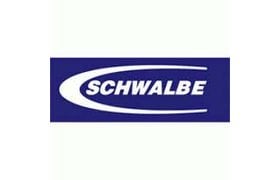 Schwalbe