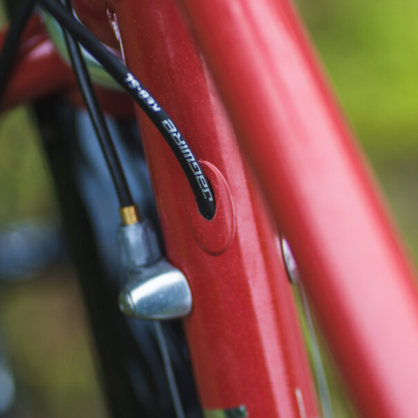 velo orange Pass Hunter