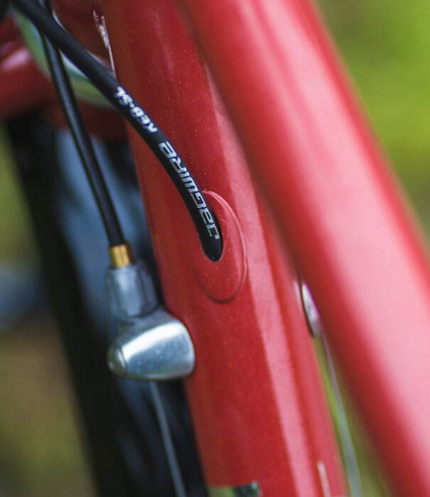 velo orange Pass Hunter