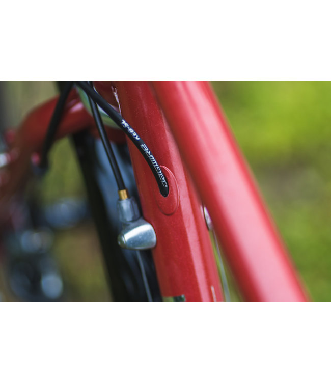 velo orange Pass Hunter