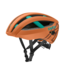 Smith Optics Network MIPS
