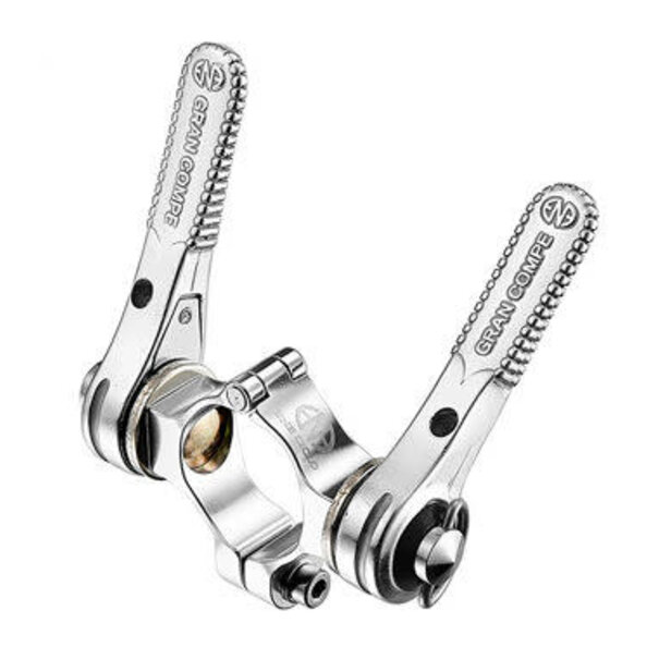 ENE Down Tube Shifter