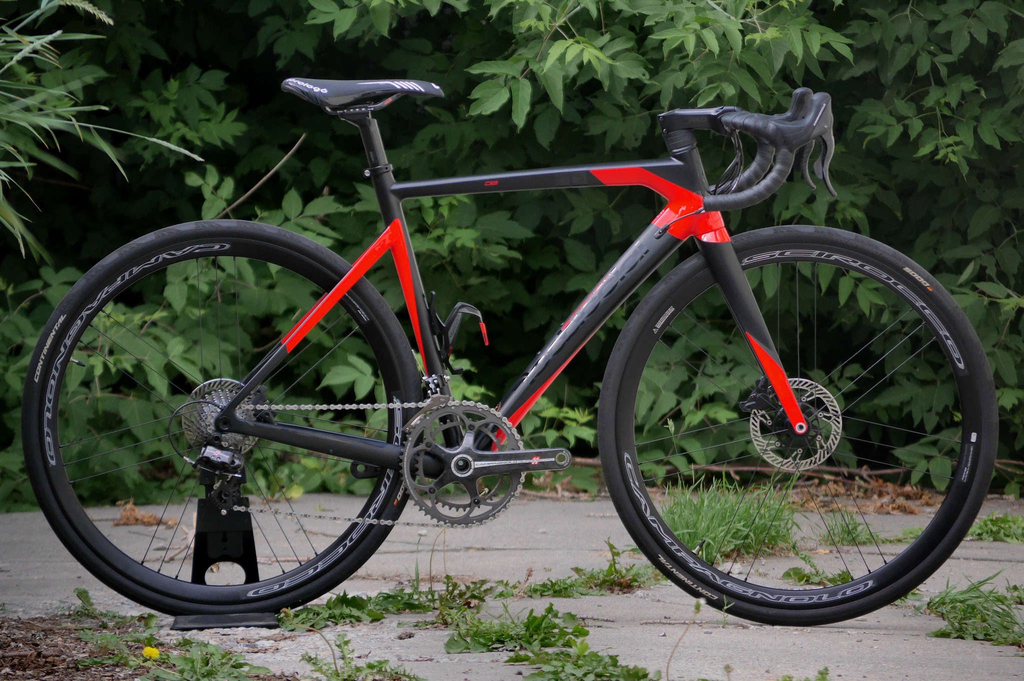2021 Vertigine DB Medium - Vitasport Cycles