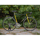 Nishiki Landau Tri-A - 57