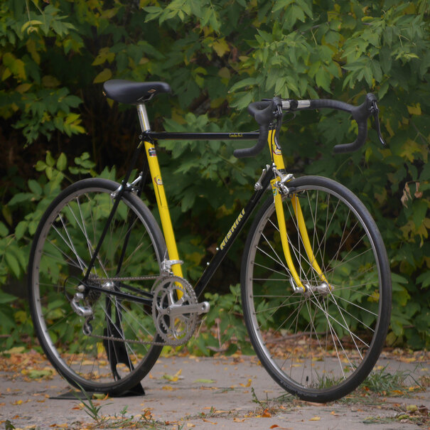 Nishiki Landau Tri-A - 57