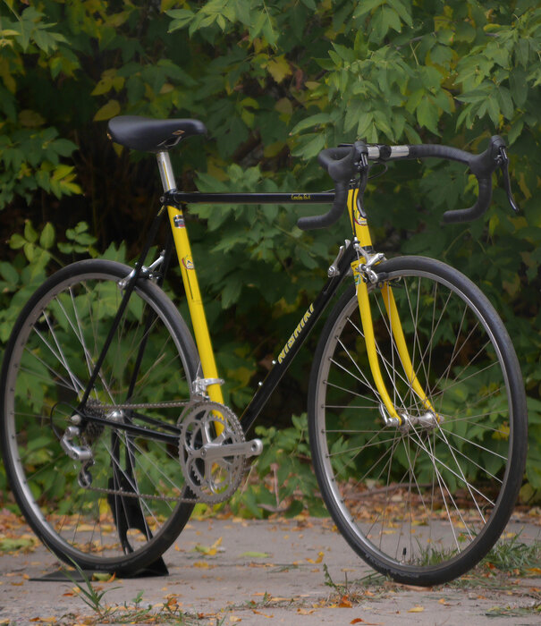 Nishiki Landau Tri-A - 57