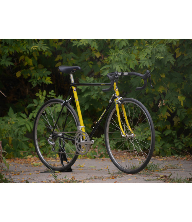 Nishiki Landau Tri-A - 57