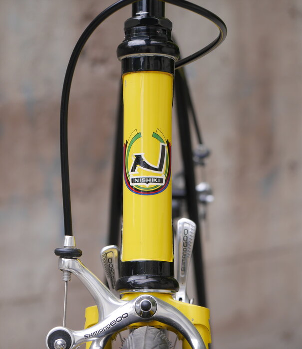 Nishiki Landau Tri-A - 57