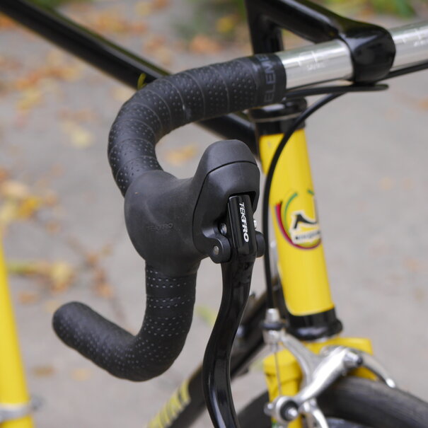 Nishiki Landau Tri-A - 57