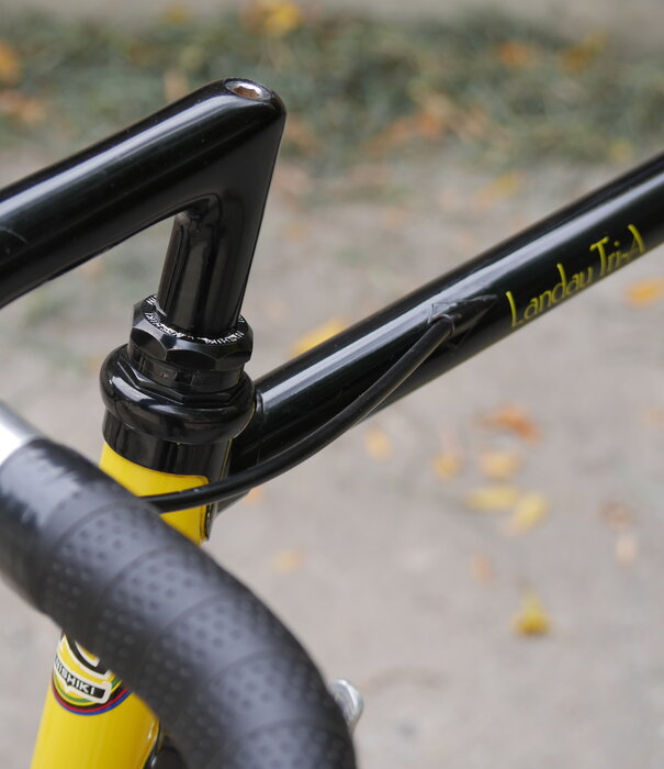 Nishiki Landau Tri-A - 57