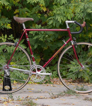 Guerciotti Milano 59cm