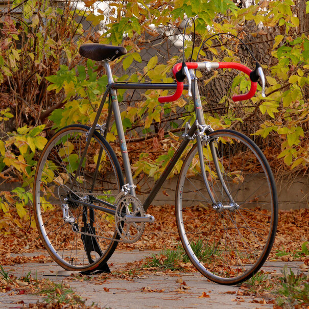 Mercian Grey - 61cm
