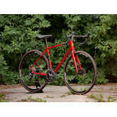 2024 Smoothie HP 54cm