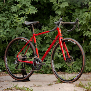 2024 Smoothie HP 54cm