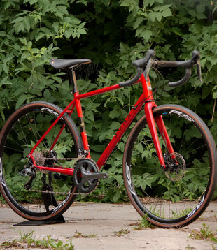 2024 Smoothie HP 54cm