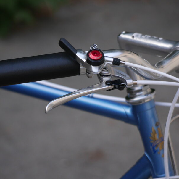 Bianchi Custom 650b 53cm