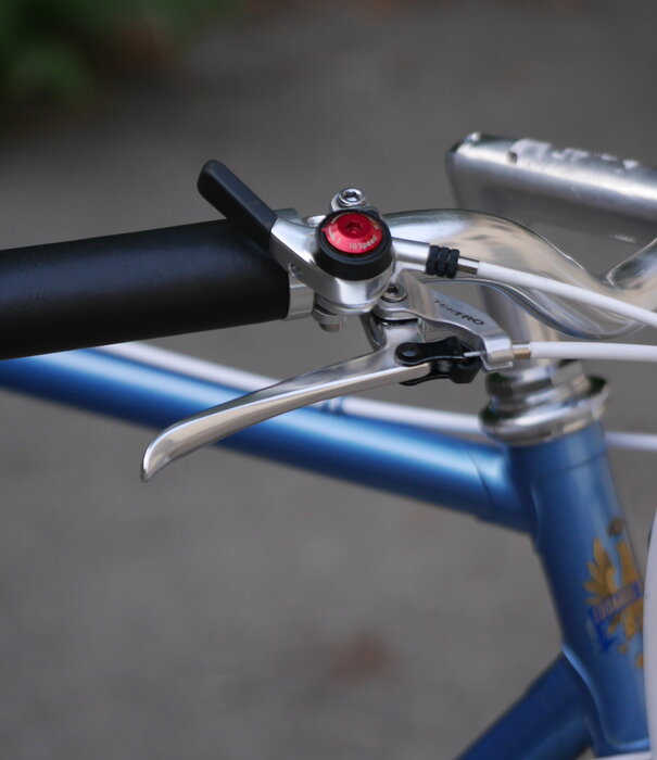 Bianchi Custom 650b 53cm