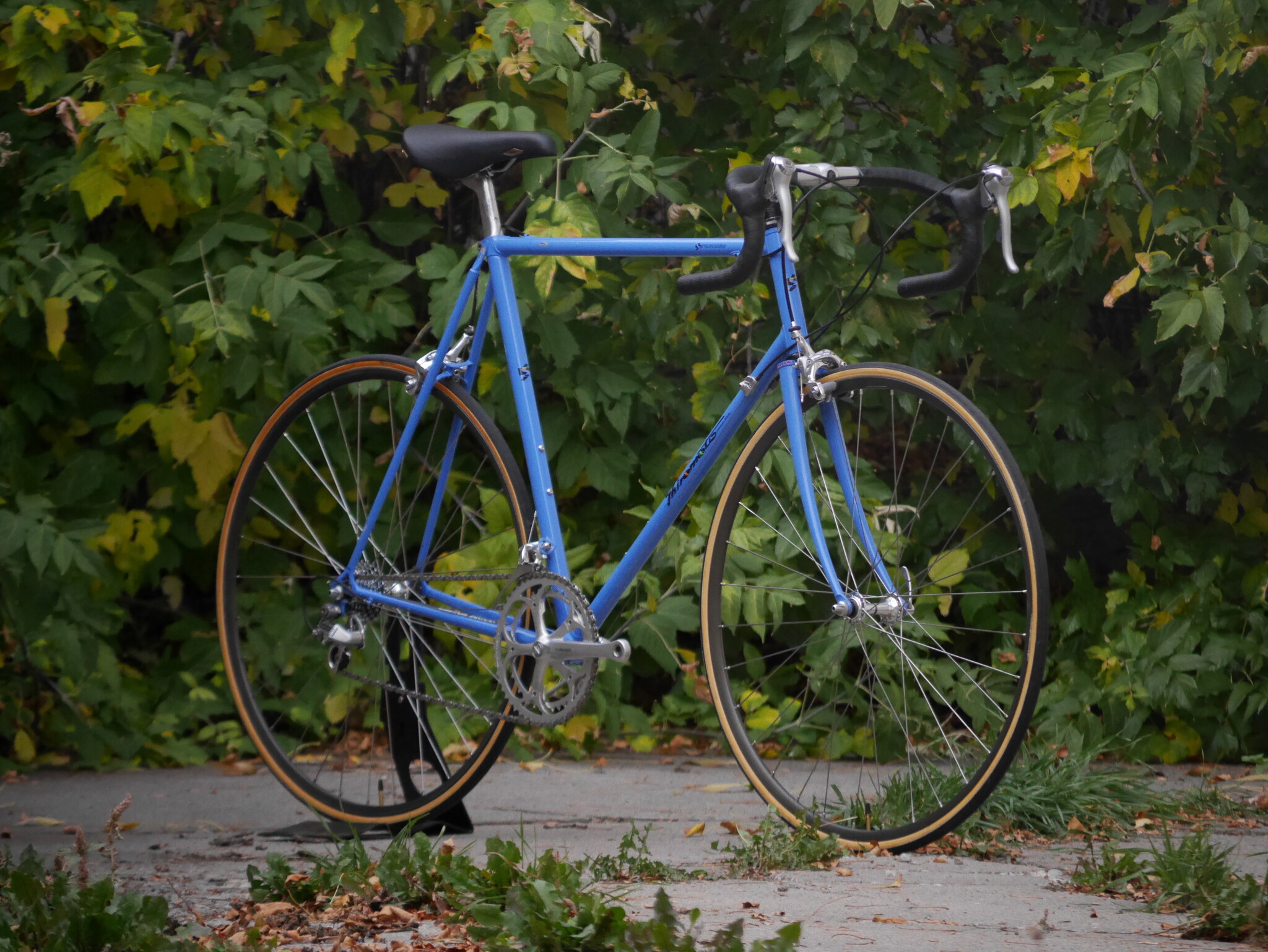 men's fat bike for sale